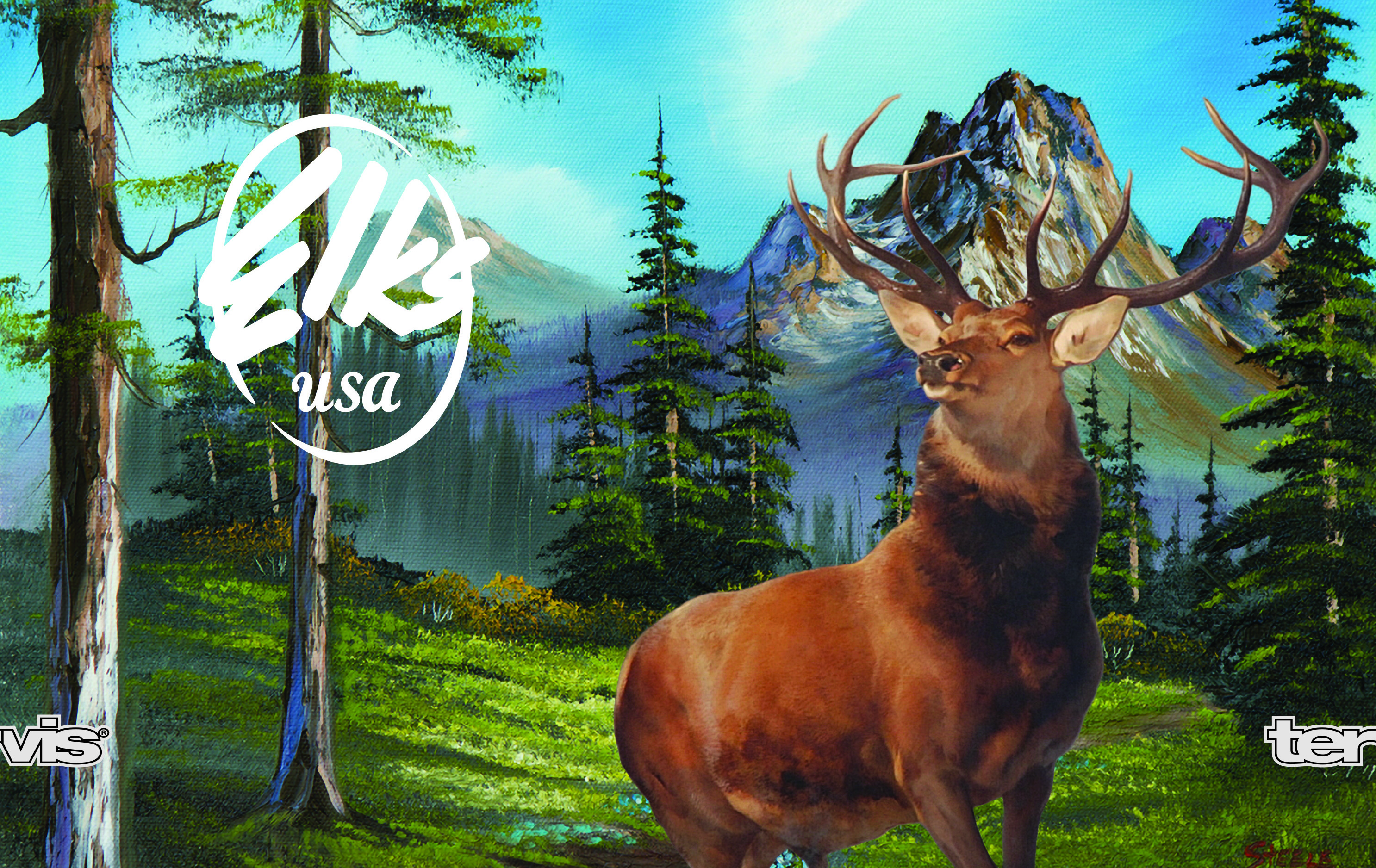 Elkstum Full Layout